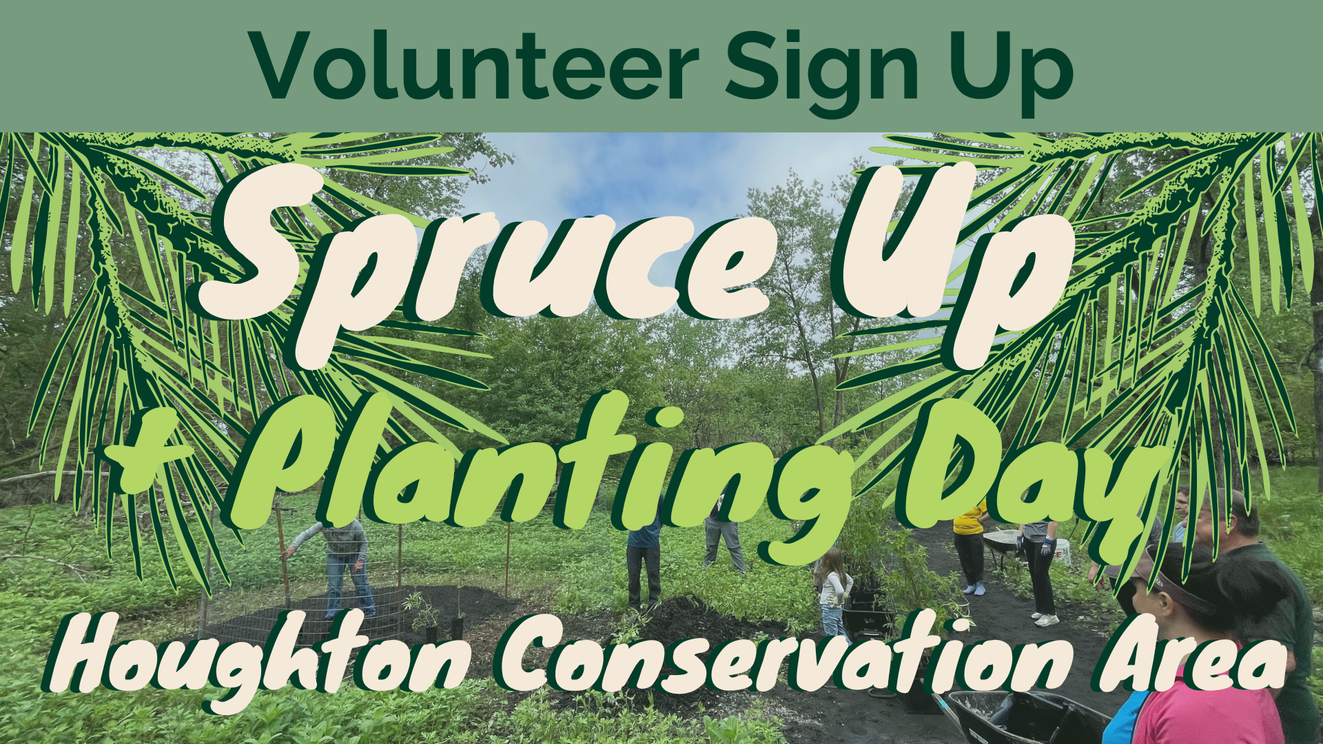 Campaign cover image for Volunteer for Spruce Up and Planting at Houghton Conservation Area