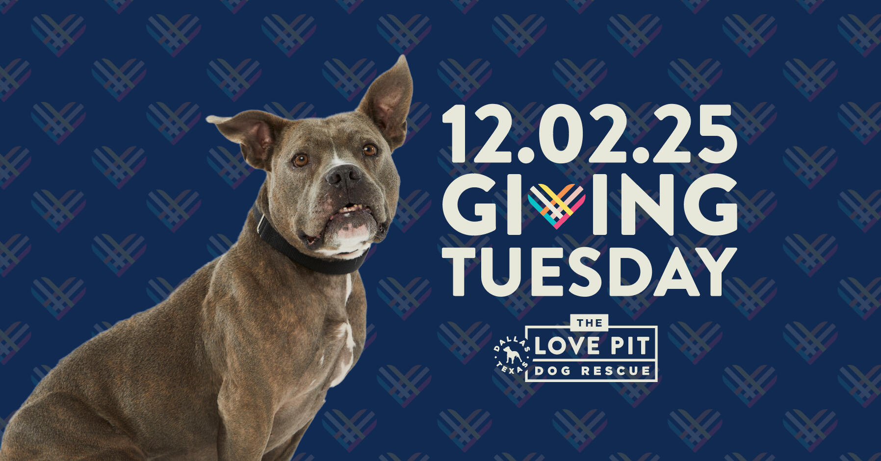 Campaign cover image for Giving Tuesday 2025