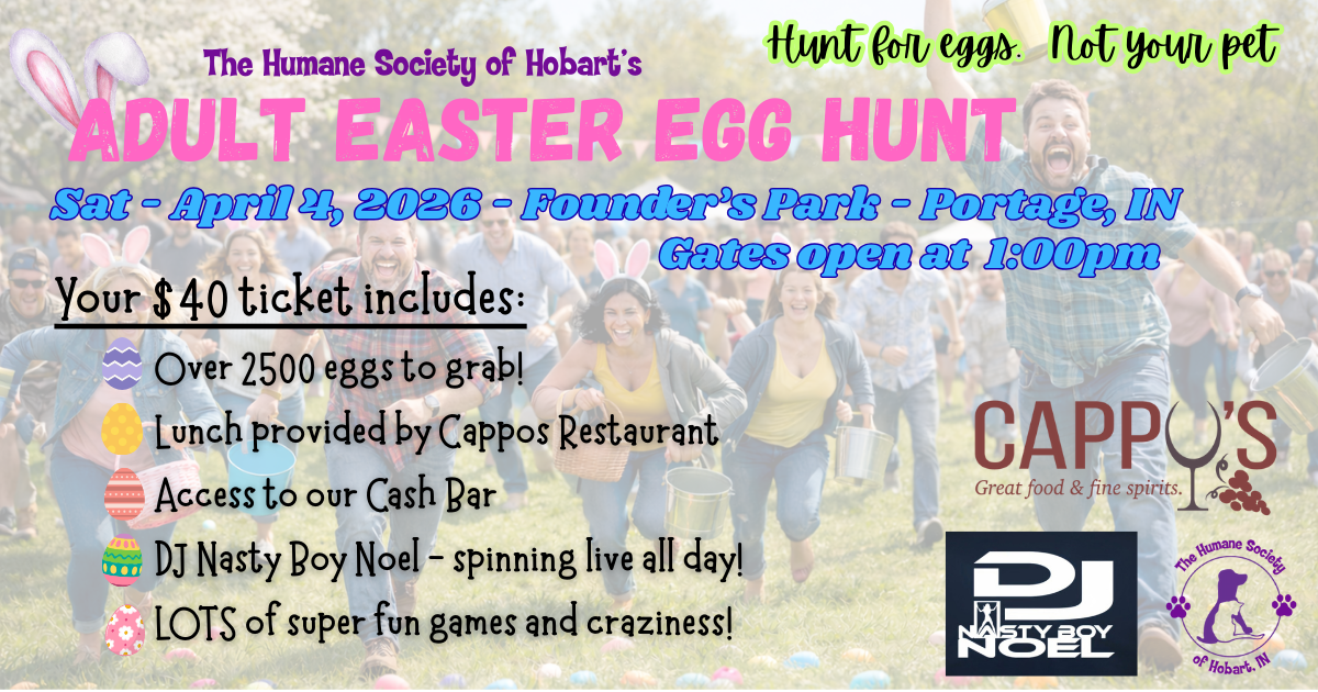 Campaign cover image for Adult Egg Hunt