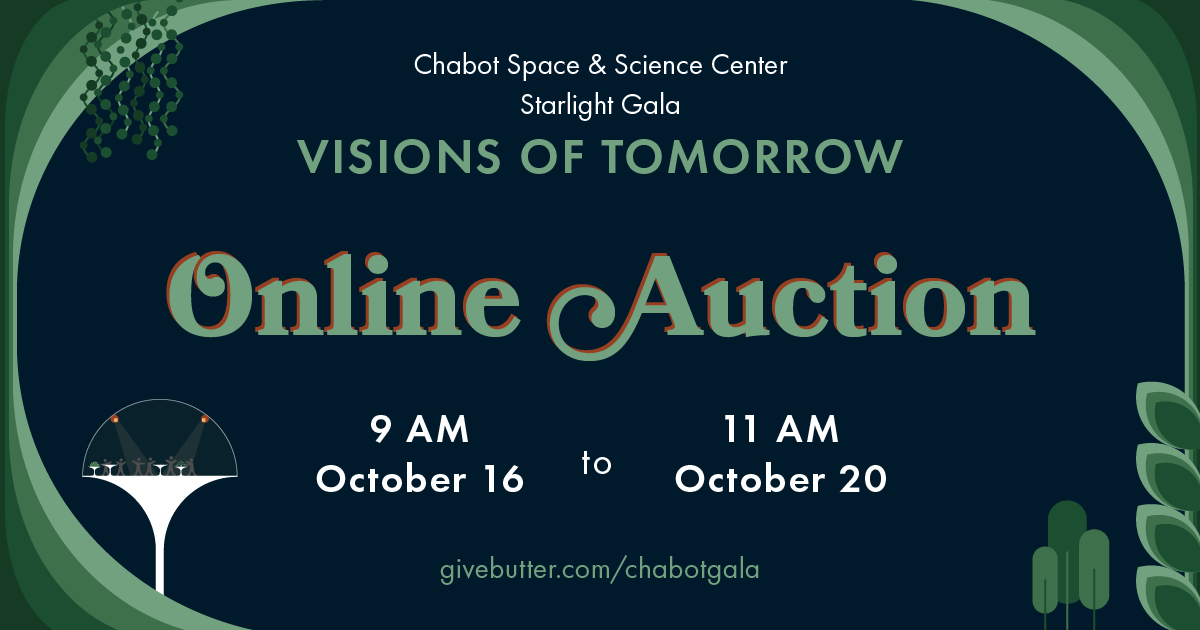 Campaign cover image for VISIONS OF TOMORROW - ONLINE AUCTION