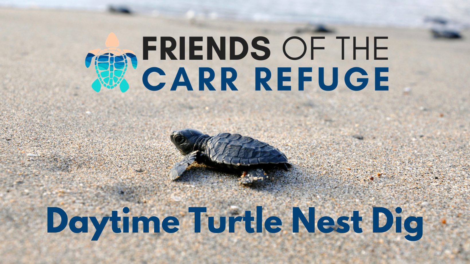 Campaign cover image for Nest Dig September 12, 2026