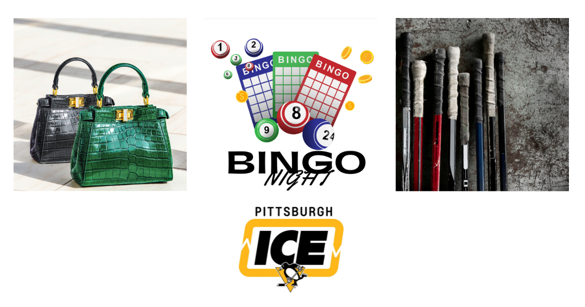 Campaign cover image for Pittsburgh I.C.E. Bingo Night: Pucks, Purses & Pens!