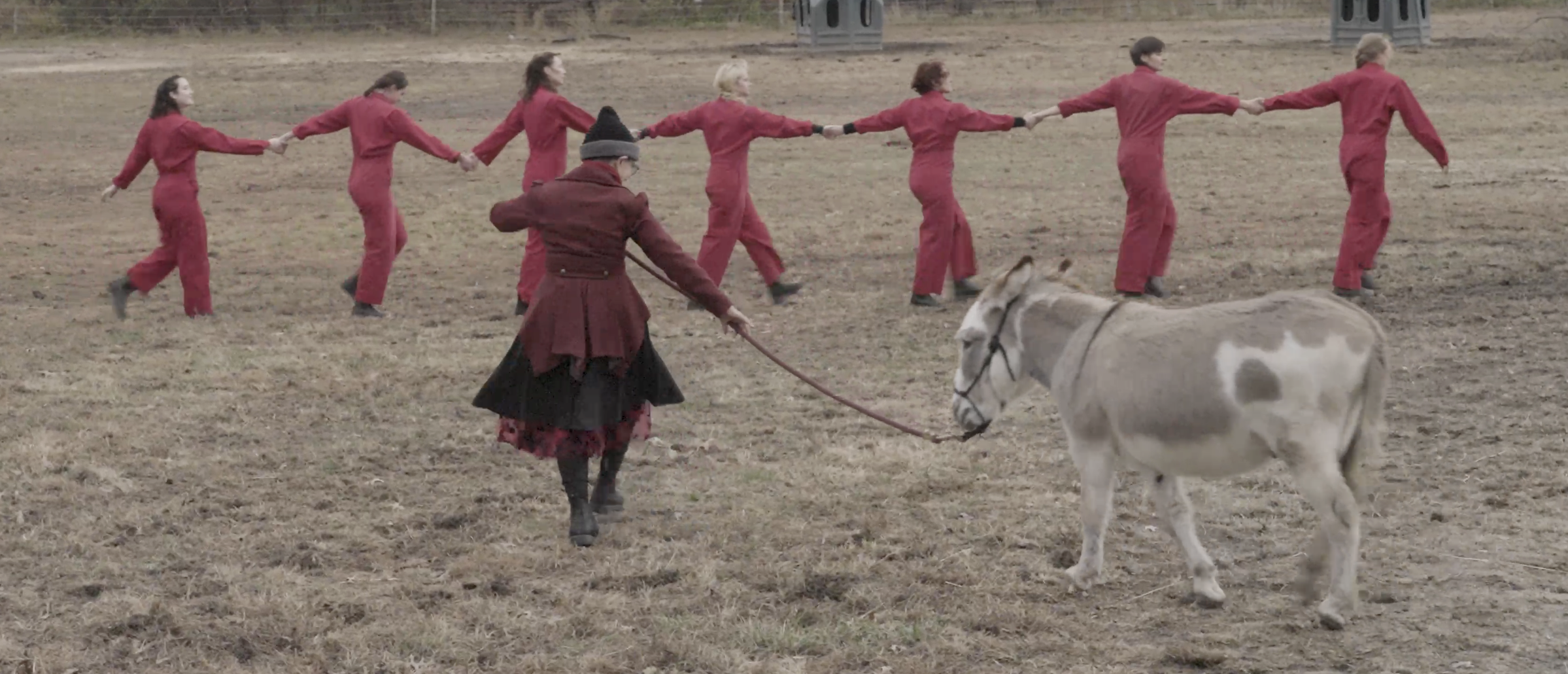 Campaign cover image for Support The Equus Projects