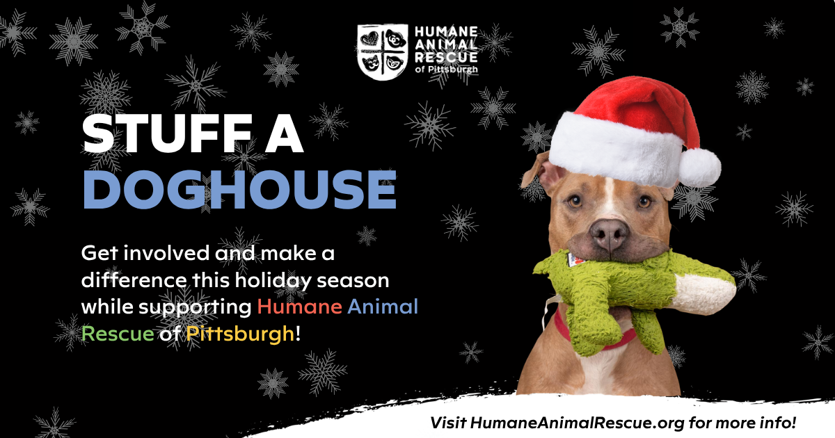 Campaign cover image for Stuff A Doghouse!