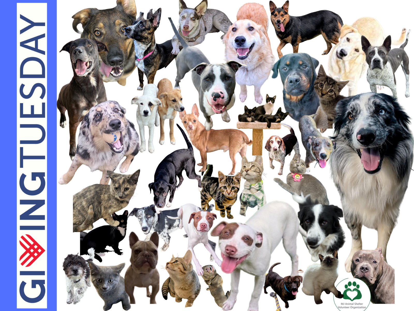 Campaign cover image for Give Hope. Give Love. Give Tuesday.