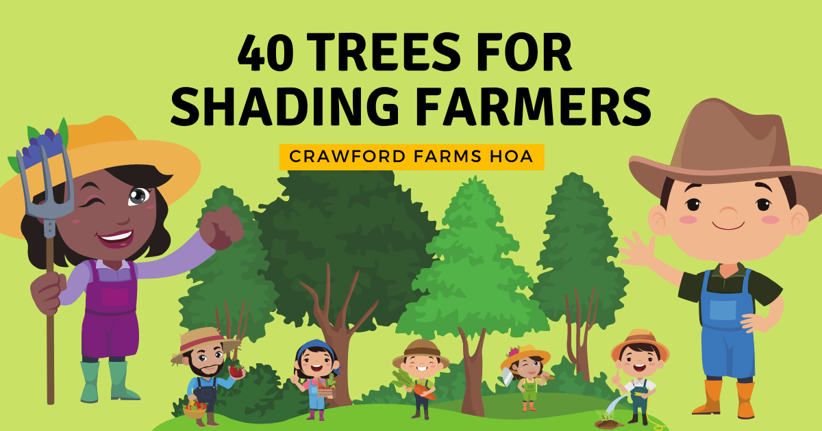 Campaign cover image for 40 Trees for Shading Farmers