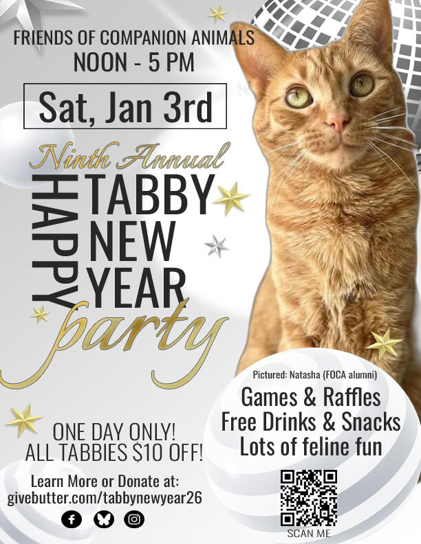 Campaign cover image for FOCA Tabby New Year 2026