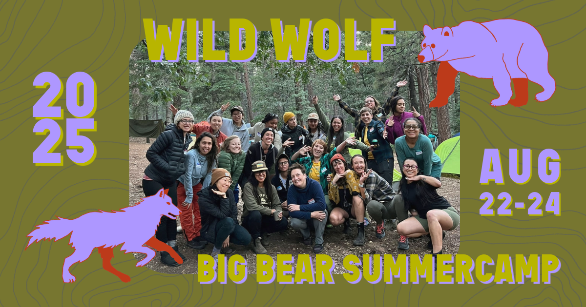 Campaign cover image for Wild Wolf's Annual Big Bear Summercamp
