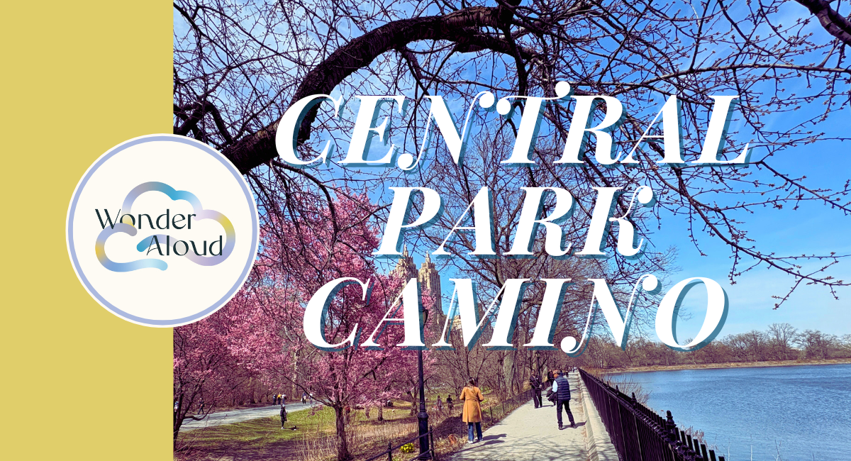 Campaign cover image for Central Park Camino Fundraiser