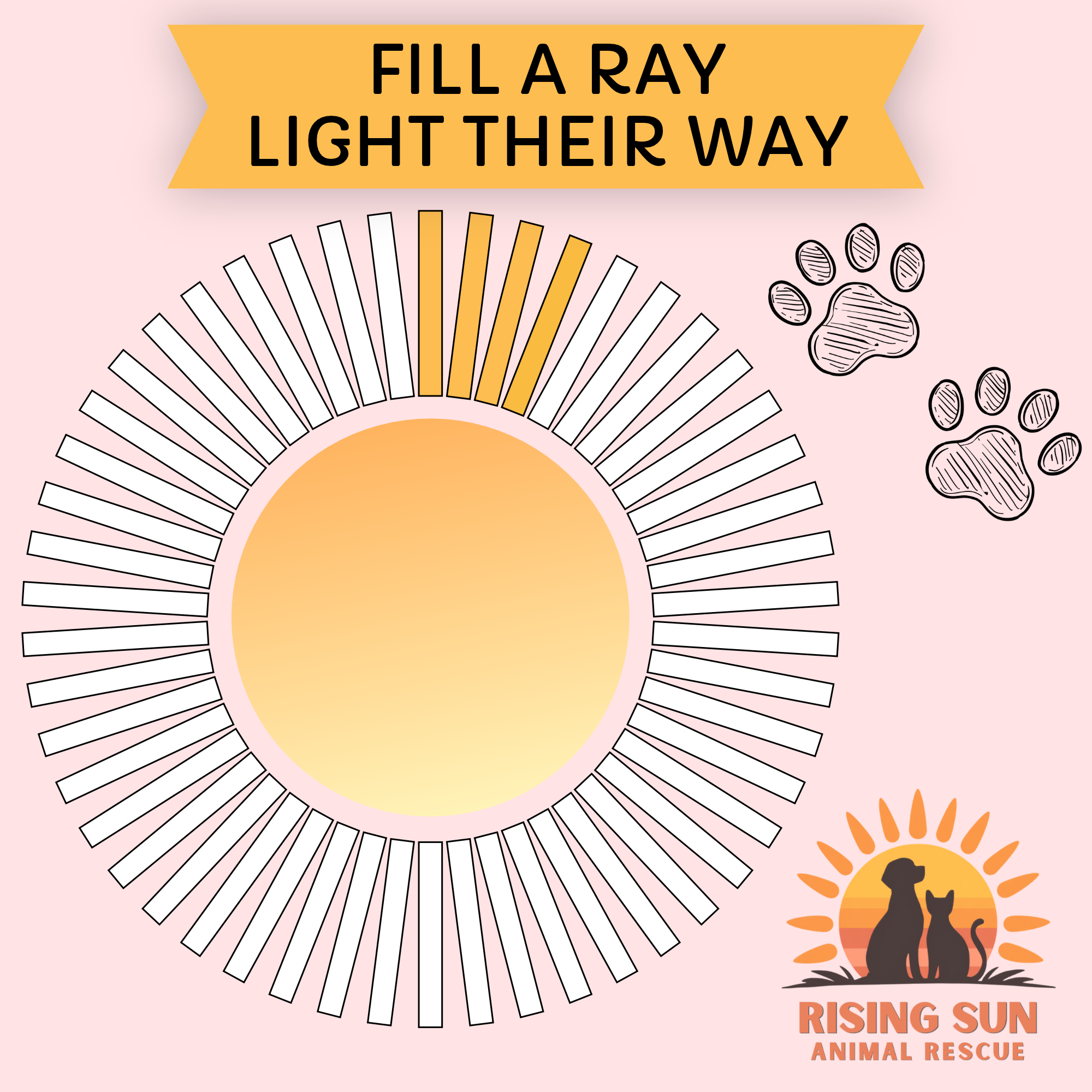 Campaign cover image for Fill a Ray, Light Their Way