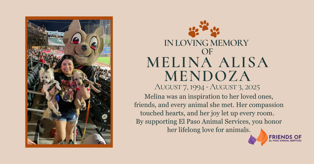 Campaign cover image for Honorring Melina's Heart for Animals