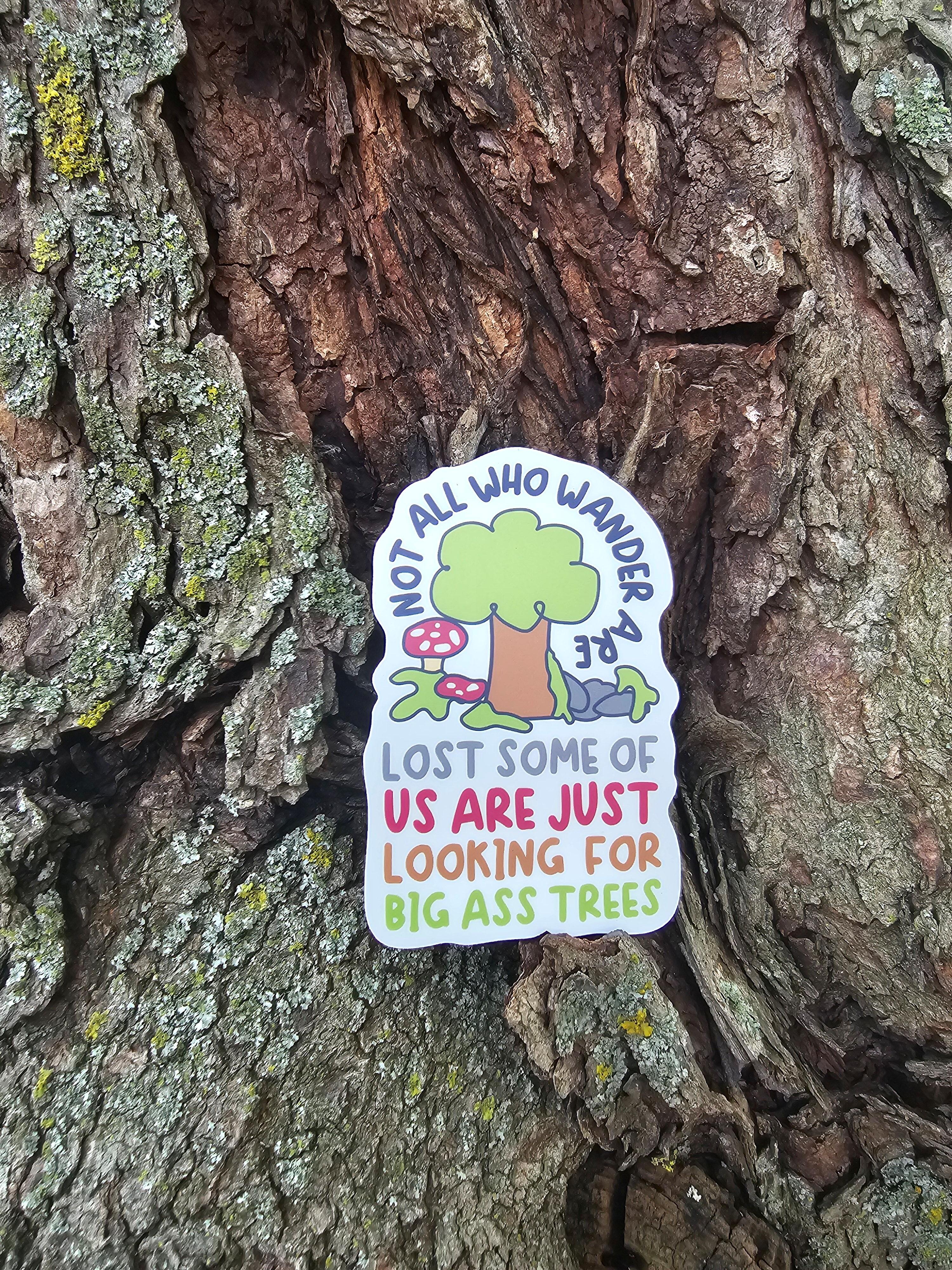 Campaign cover for Big Tree Hunt 2026-2028