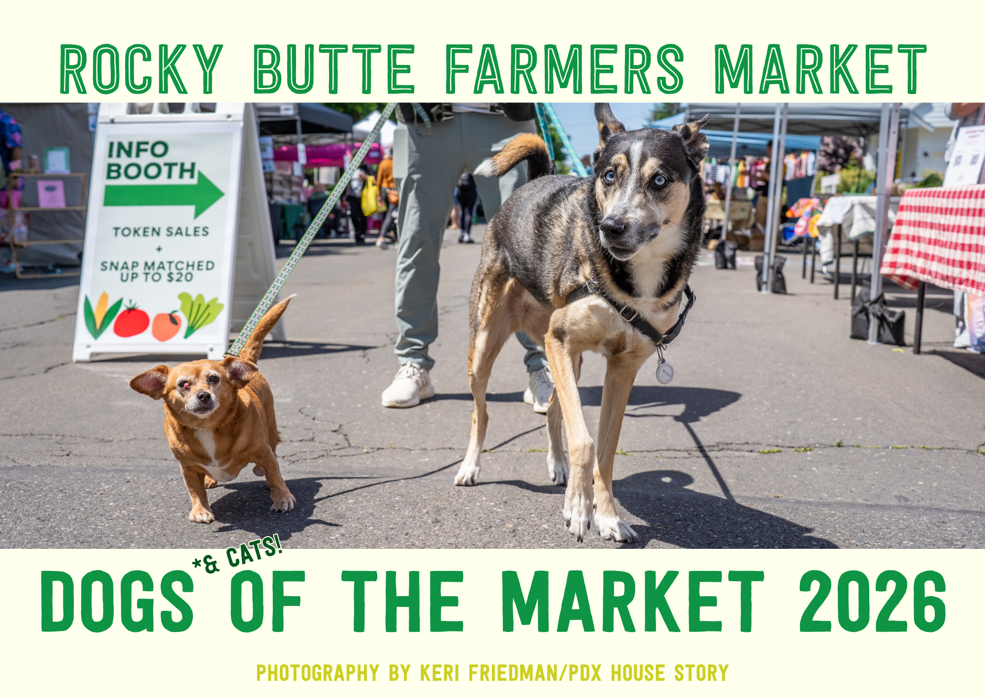 Campaign cover image for Dogs of the Market