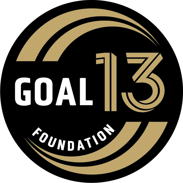 Campaign cover image for Kicks for a Cause Evening Celebration