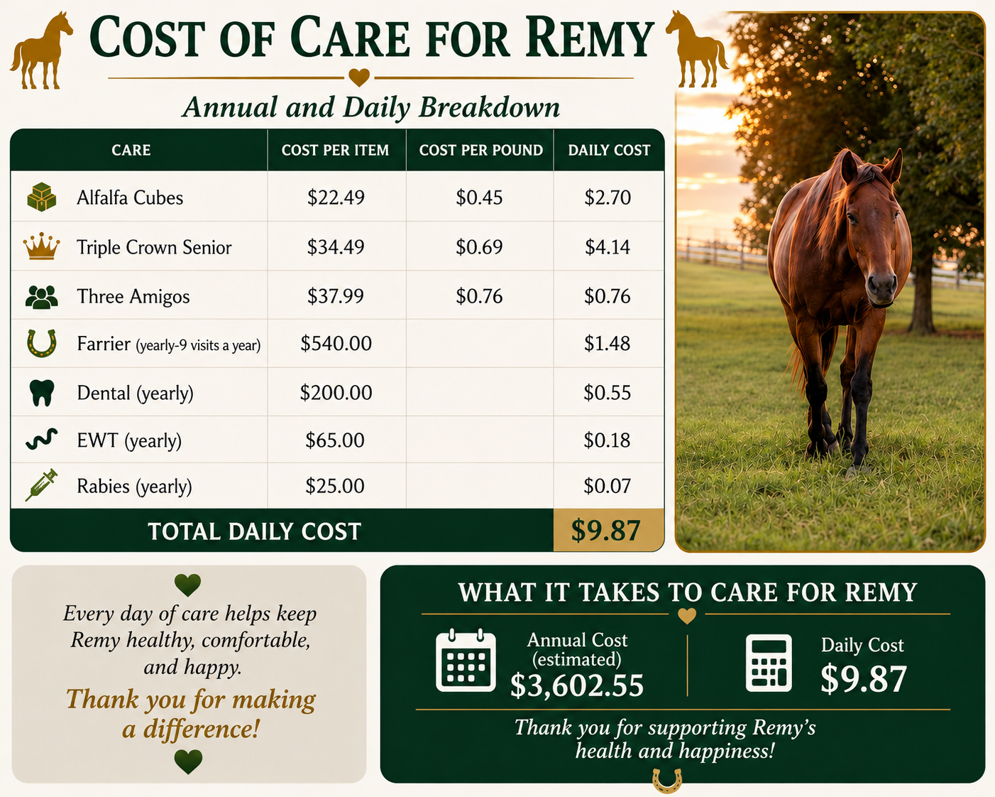 Campaign cover for Remy Sponsorship