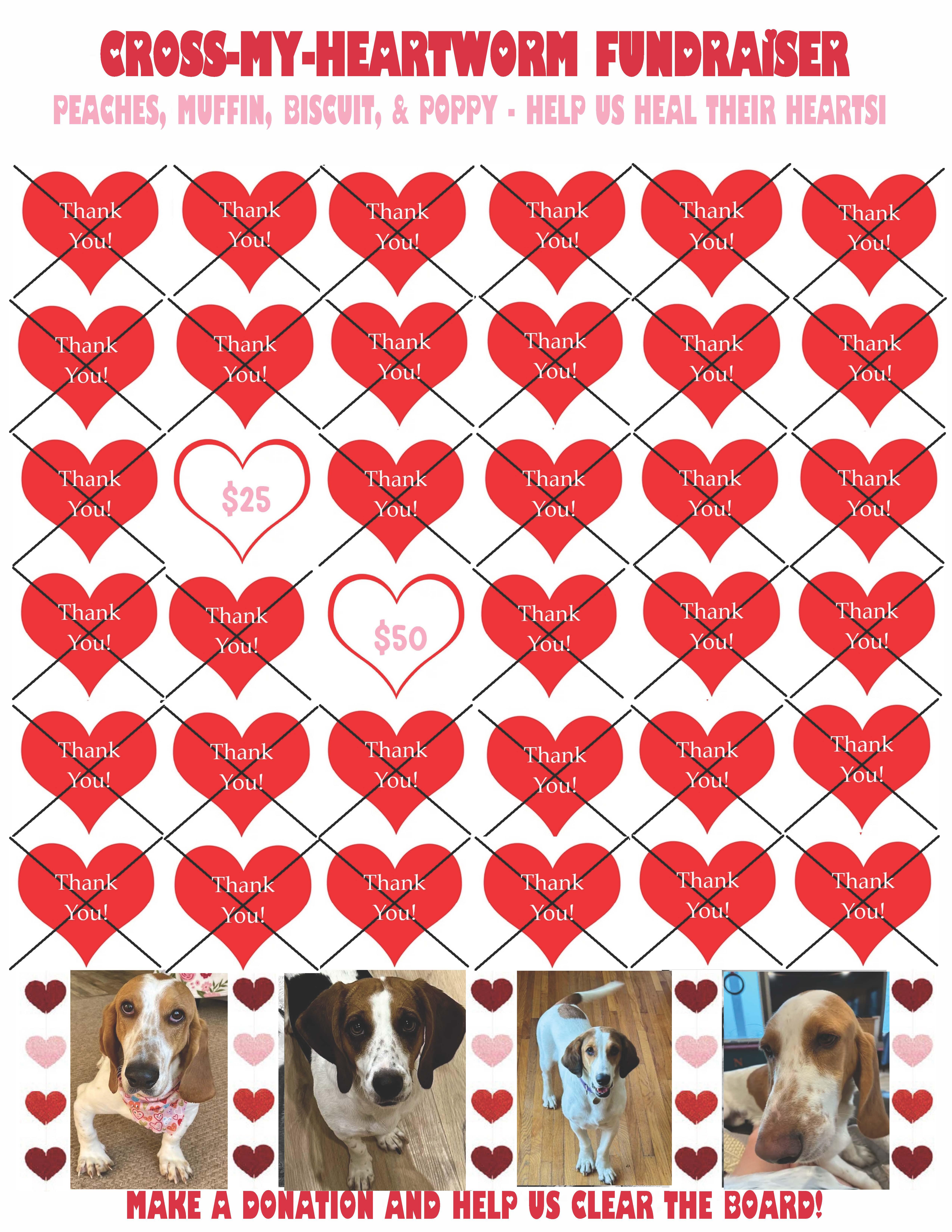 Campaign cover image for Cross-My-Heart Fundraiser