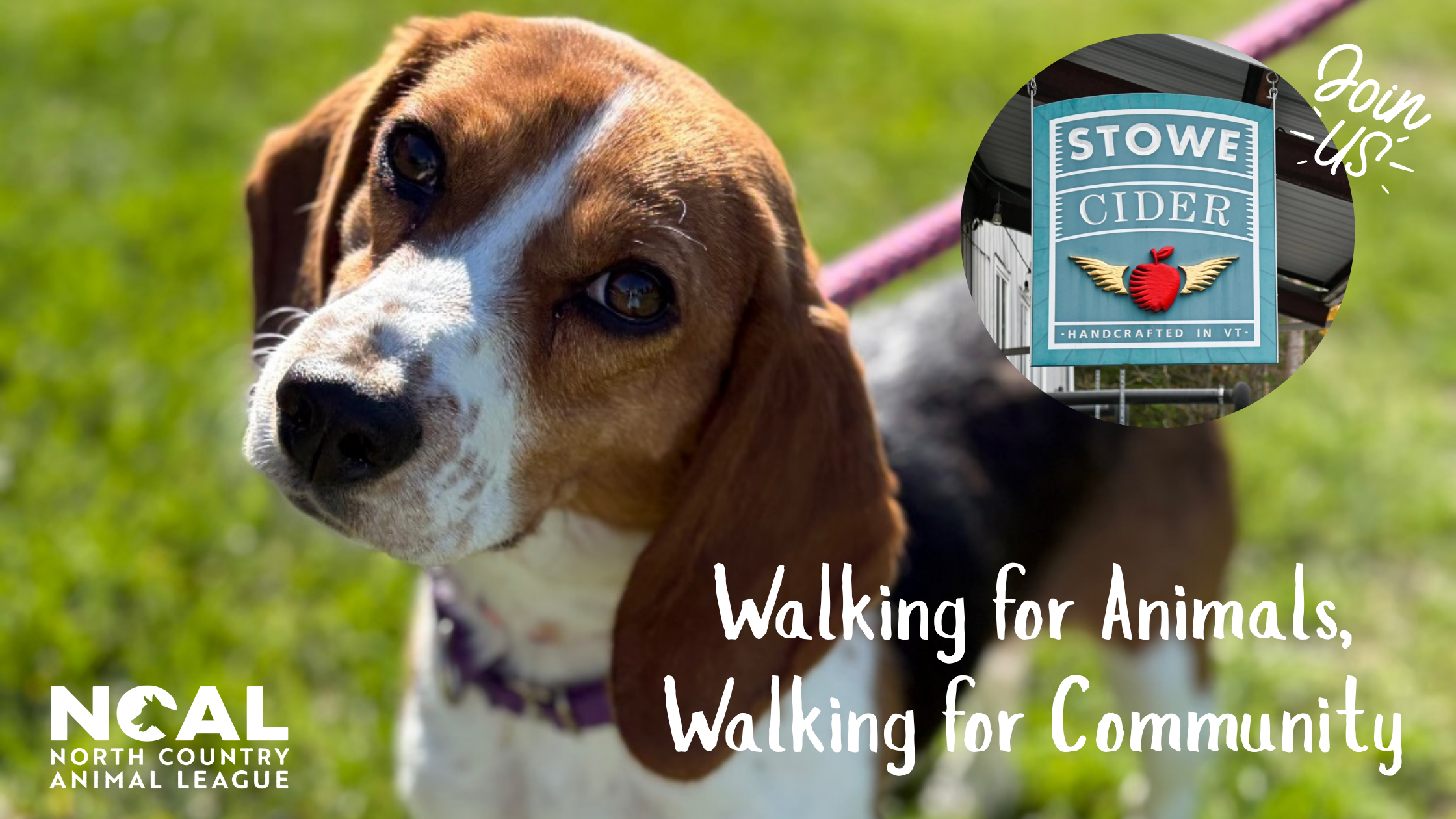 Campaign cover image for Walk for Animals at Stowe Cider