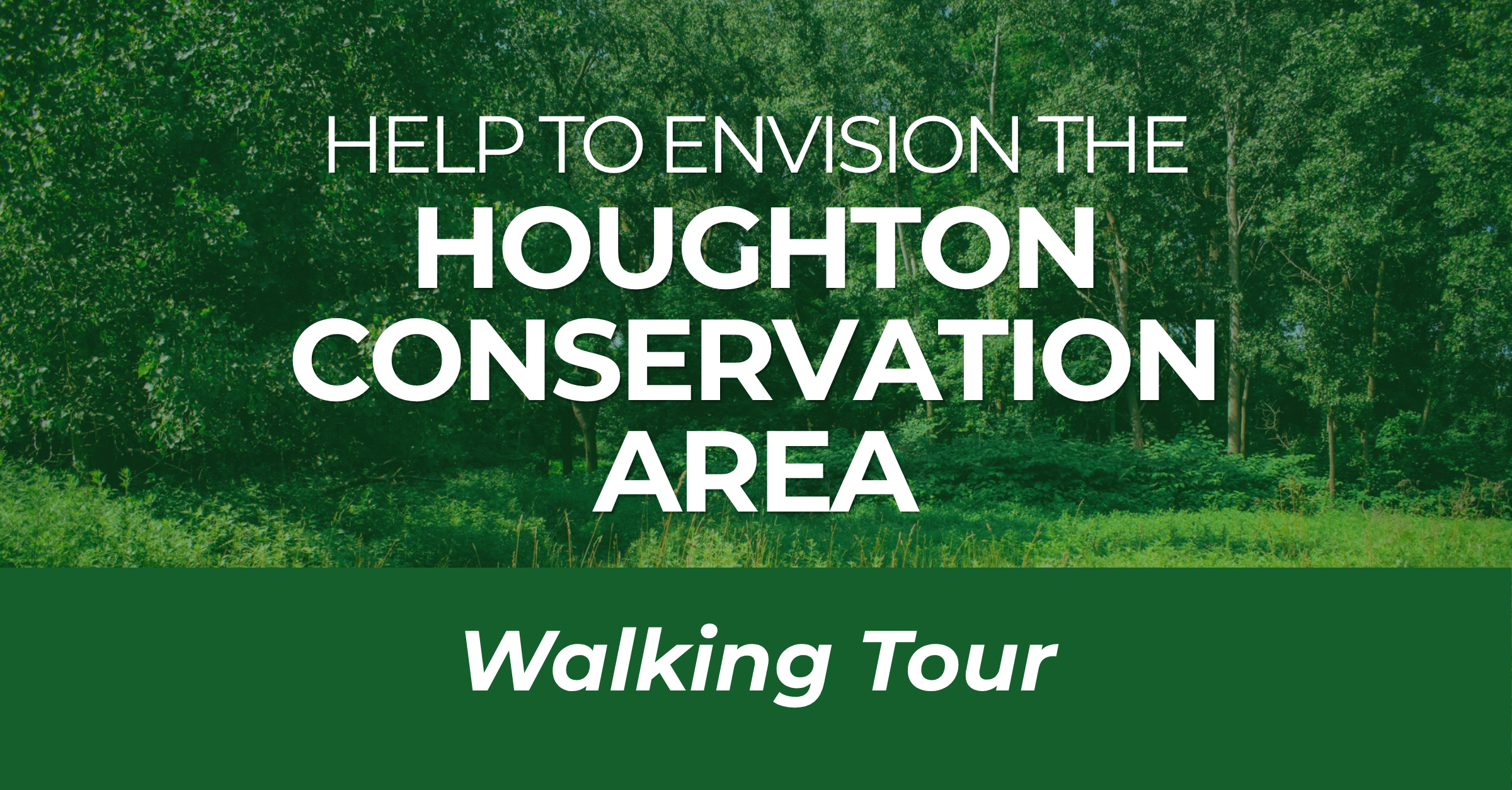 Campaign cover image for Walking Tour