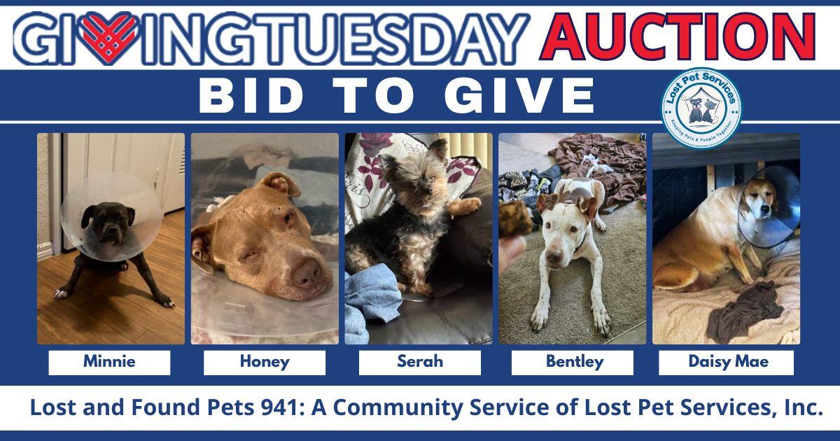 Campaign cover image for Giving Tuesday Auction for Lost Pet Services