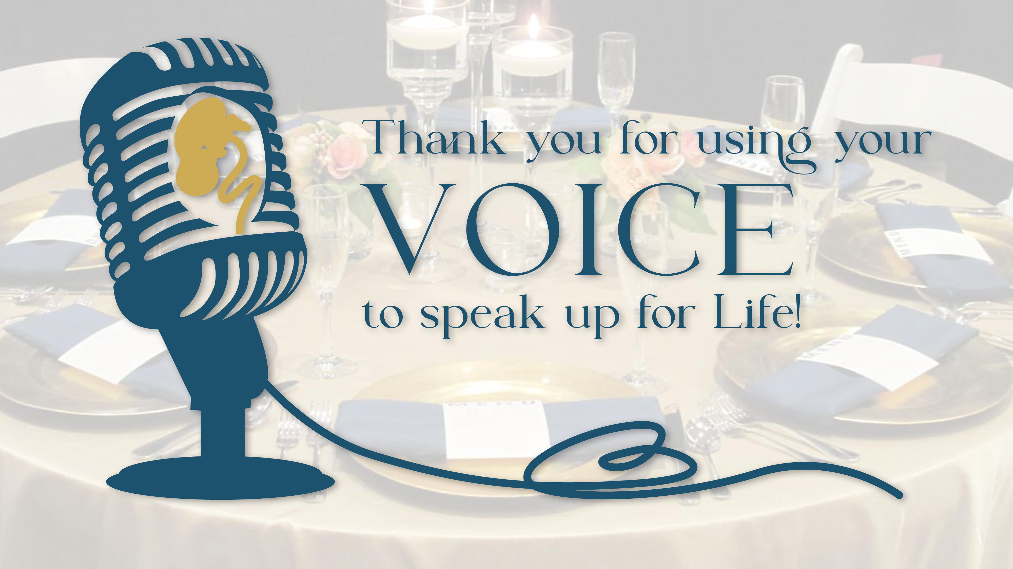 Campaign cover image for 2025 Value of a Voice Banquet