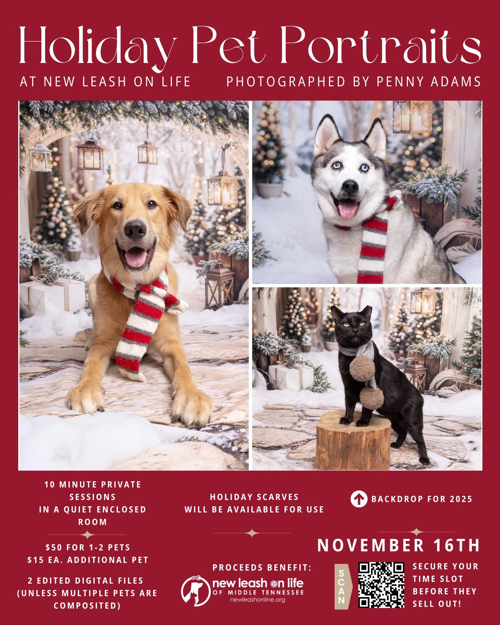 Campaign cover image for Holiday Photos with photographer Penny Adams (Sunday, November 16, 2025)