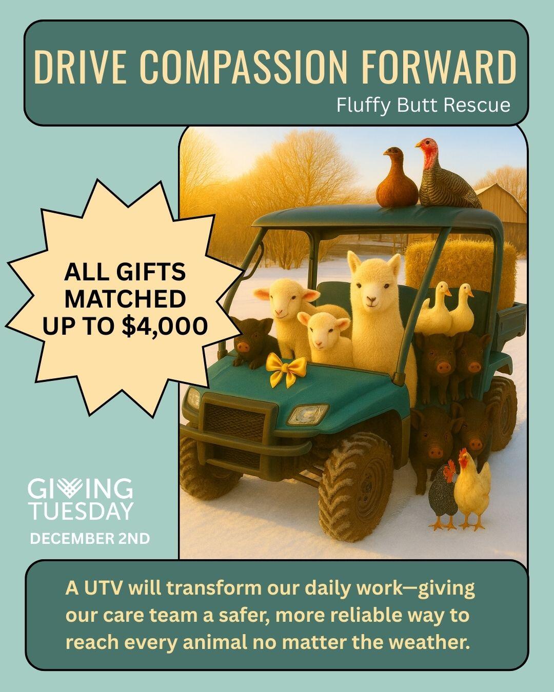 Campaign cover image for Drive Compassion Forward