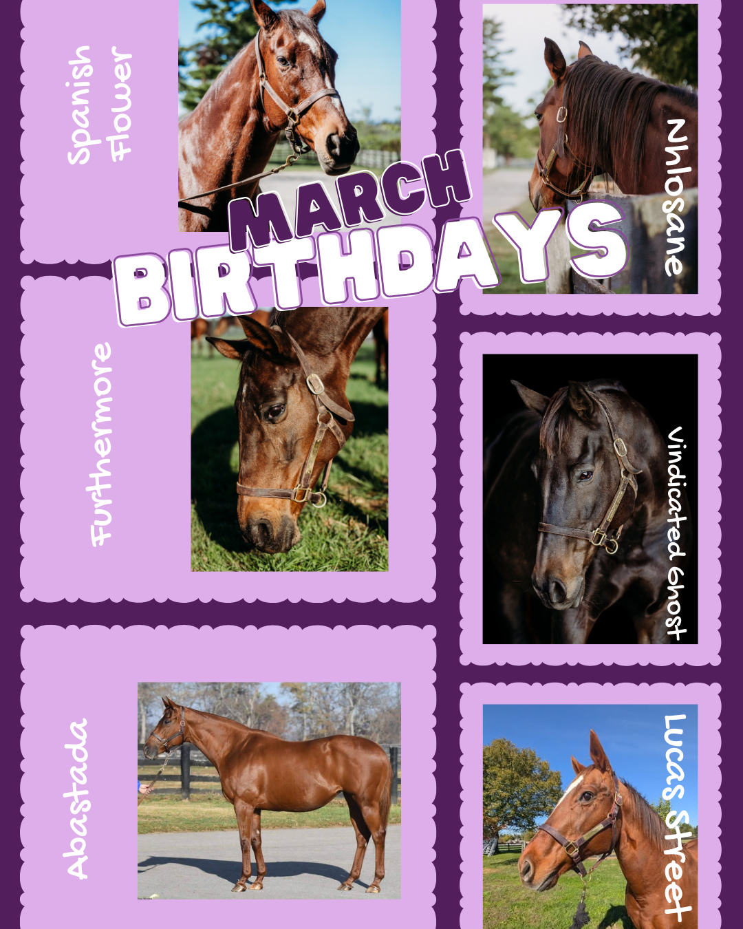 Campaign cover image for March Birthday Fundraiser