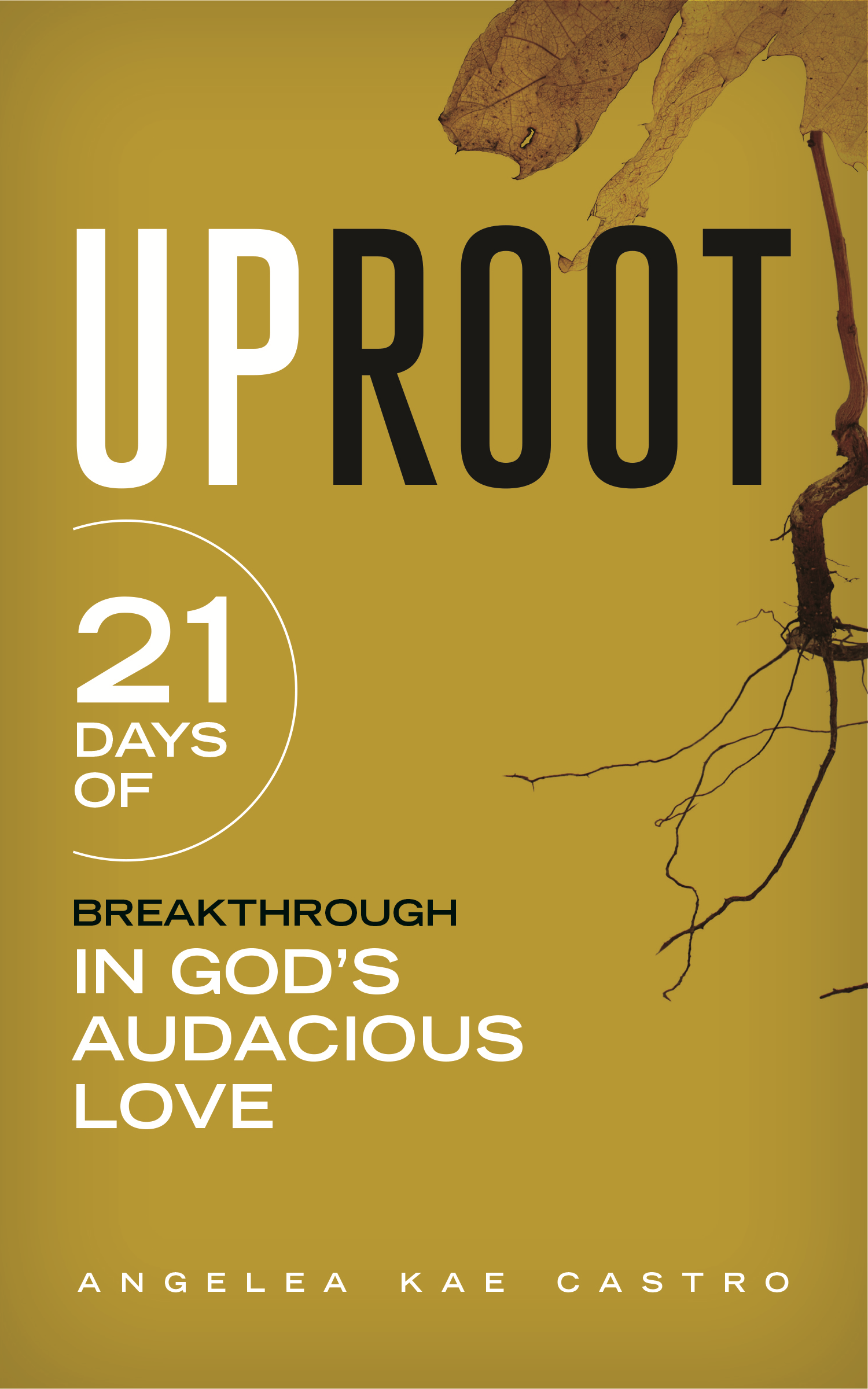 PREORDER - UPROOT: 21 DAYS OF BREAKTHROUGH IN GOD'S AUDACIOUS LOVE