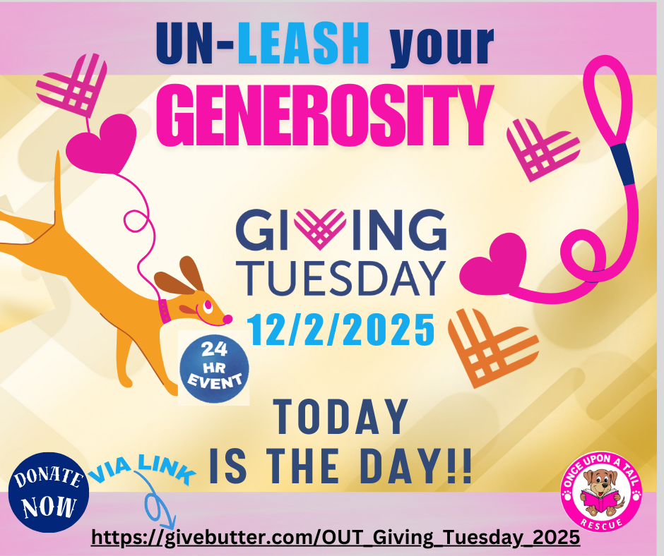 Campaign cover image for GIVING TUESDAY 2025
