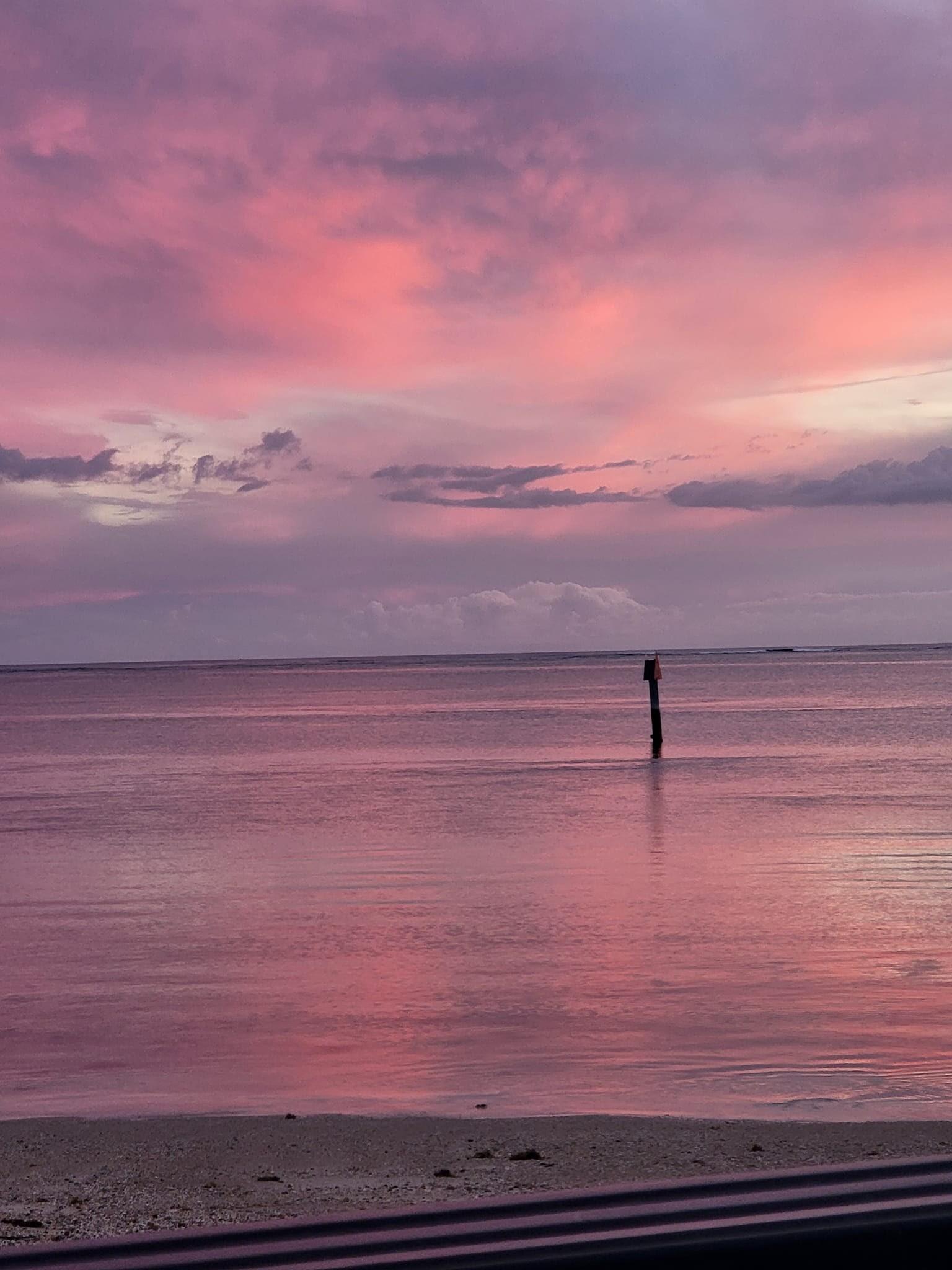 Campaign cover for Lie-U-tenant Governor