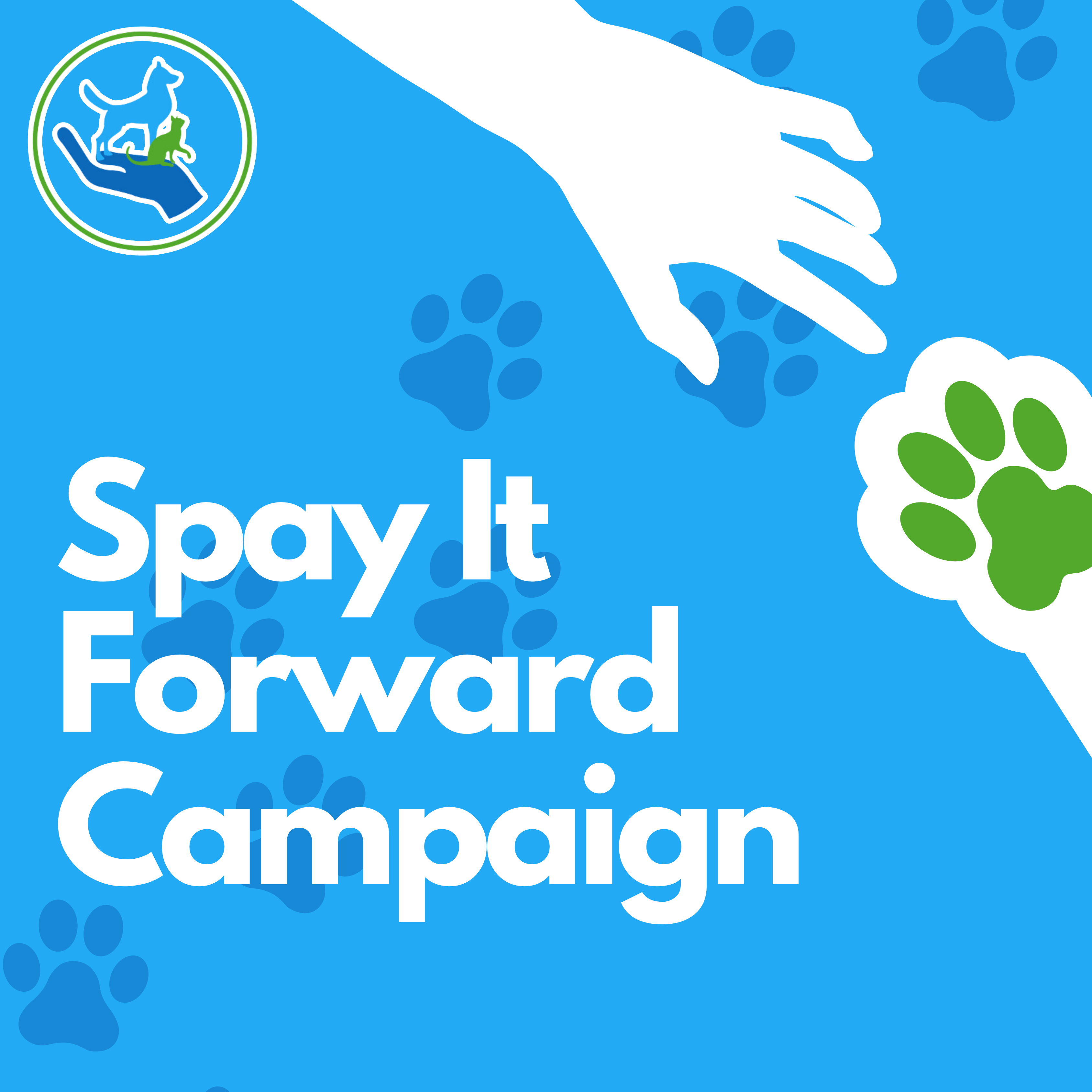 Campaign cover image for Spay It Forward Donations