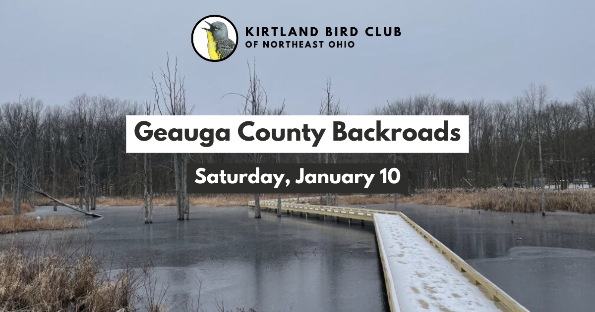 Campaign cover image for Jan 2026 Field Trip