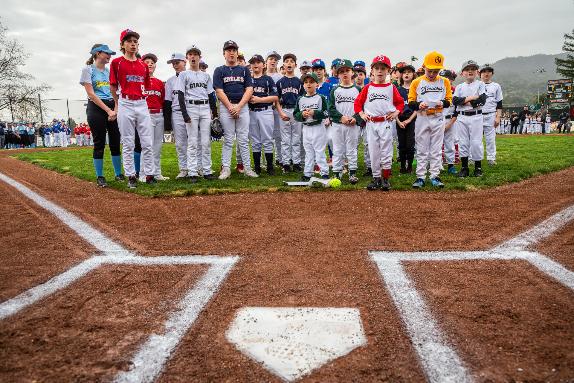 Campaign cover image for 2026 Fundraising Campaign