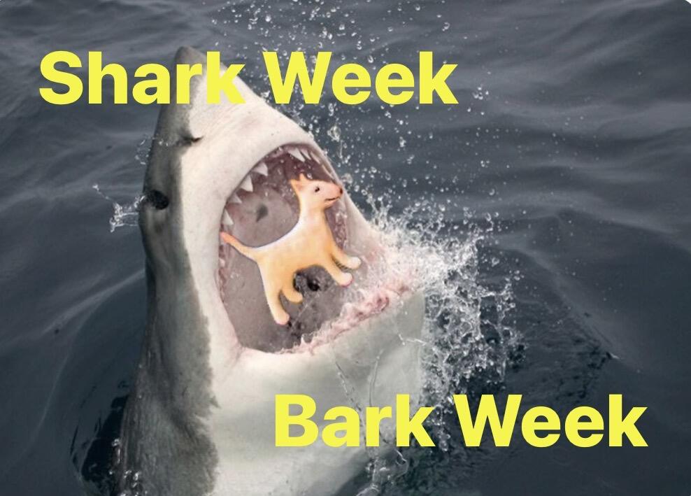 Campaign cover image for Shark Week Bark Week