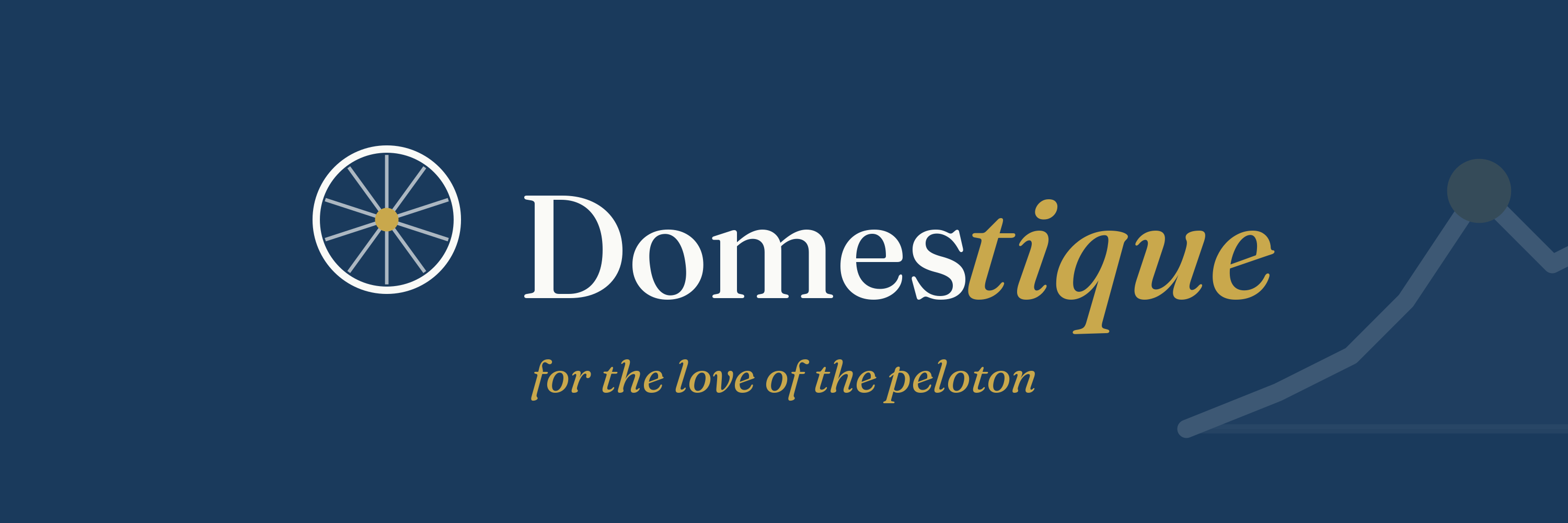 Campaign cover image for Domestique — A Tour de France Fantasy Contest for World Bicycle Relief