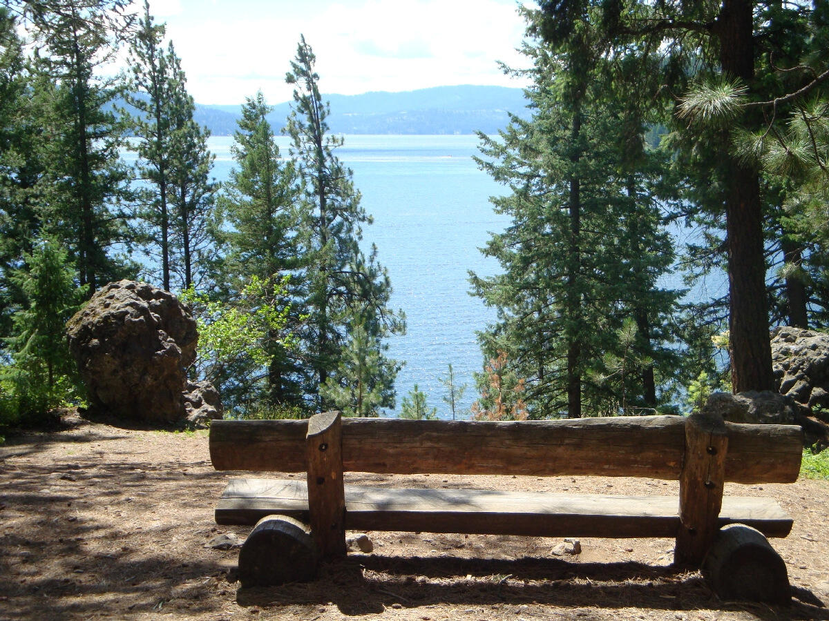 Campaign cover image for Partner with Lutherhaven