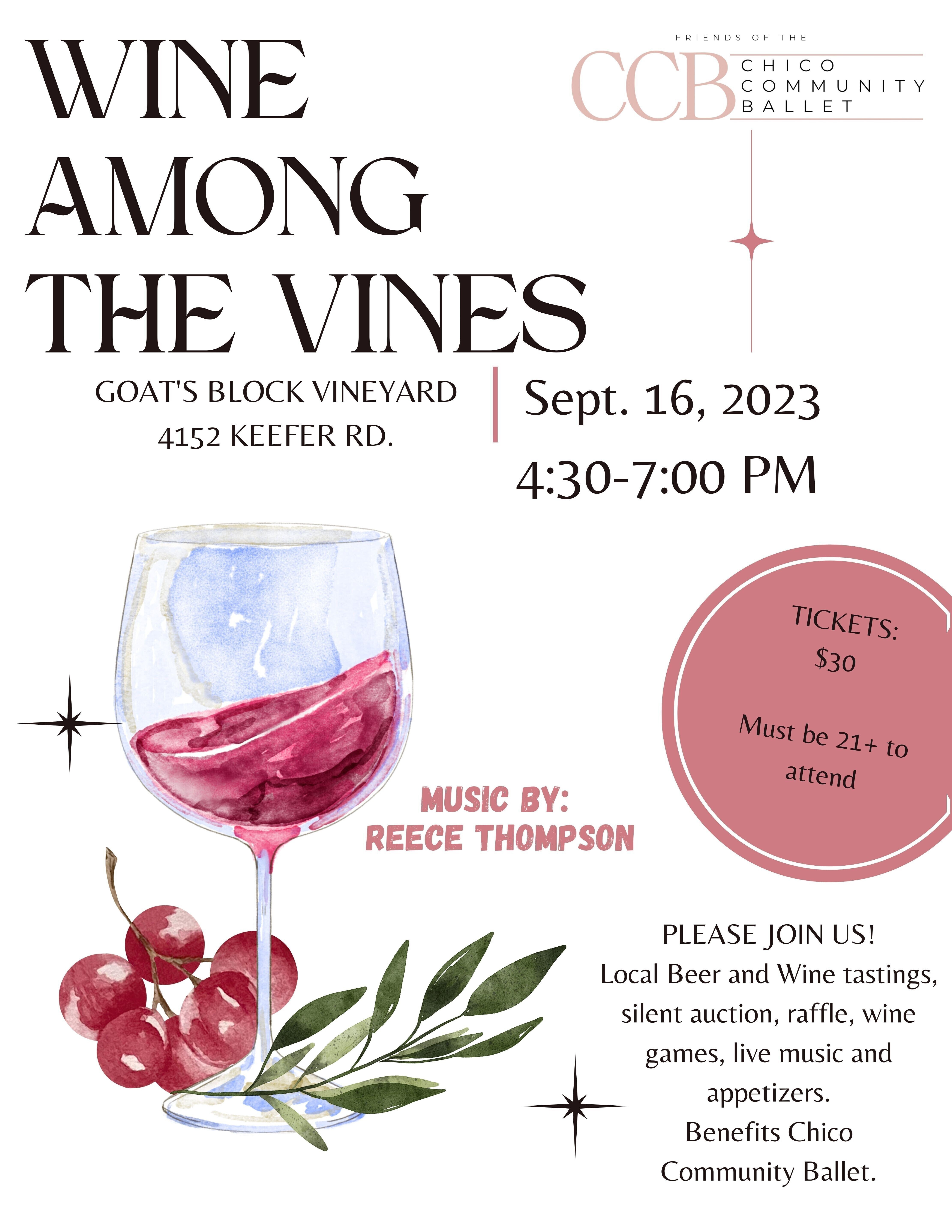 Campaign cover image for Wine Among the Vines 2023