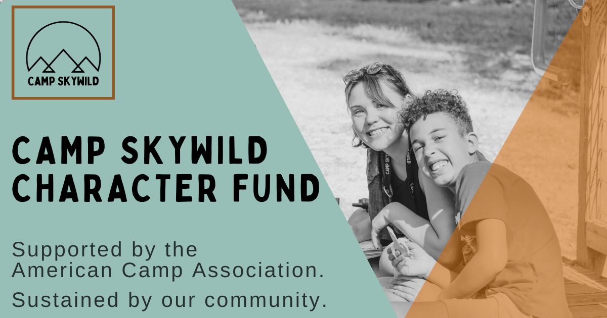 Campaign cover image for Camp SkyWild Character Fund