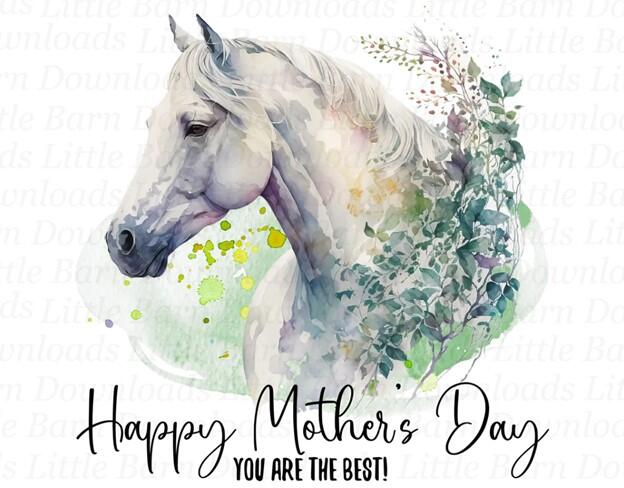 Campaign cover image for 2025 Gallop & Gather: A Mother's Day Celebration