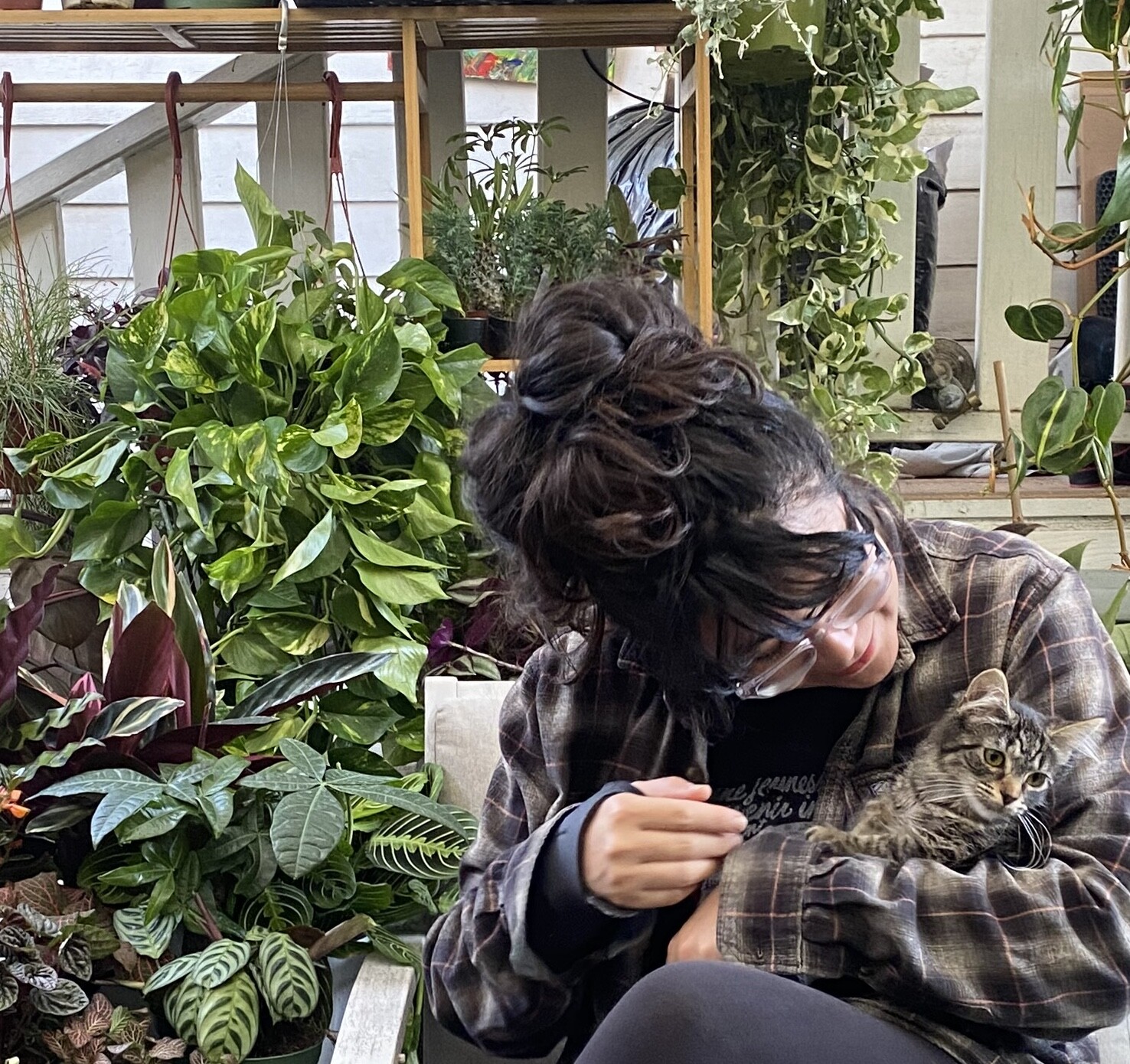 Campaign cover image for Help Lucky Cat Gardens Plant Shop & Cat Adoption Center Open!