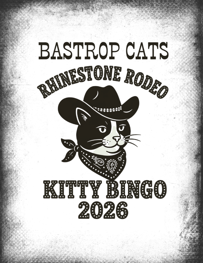Campaign cover image for Kitty Bingo - Rhinestone Rodeo