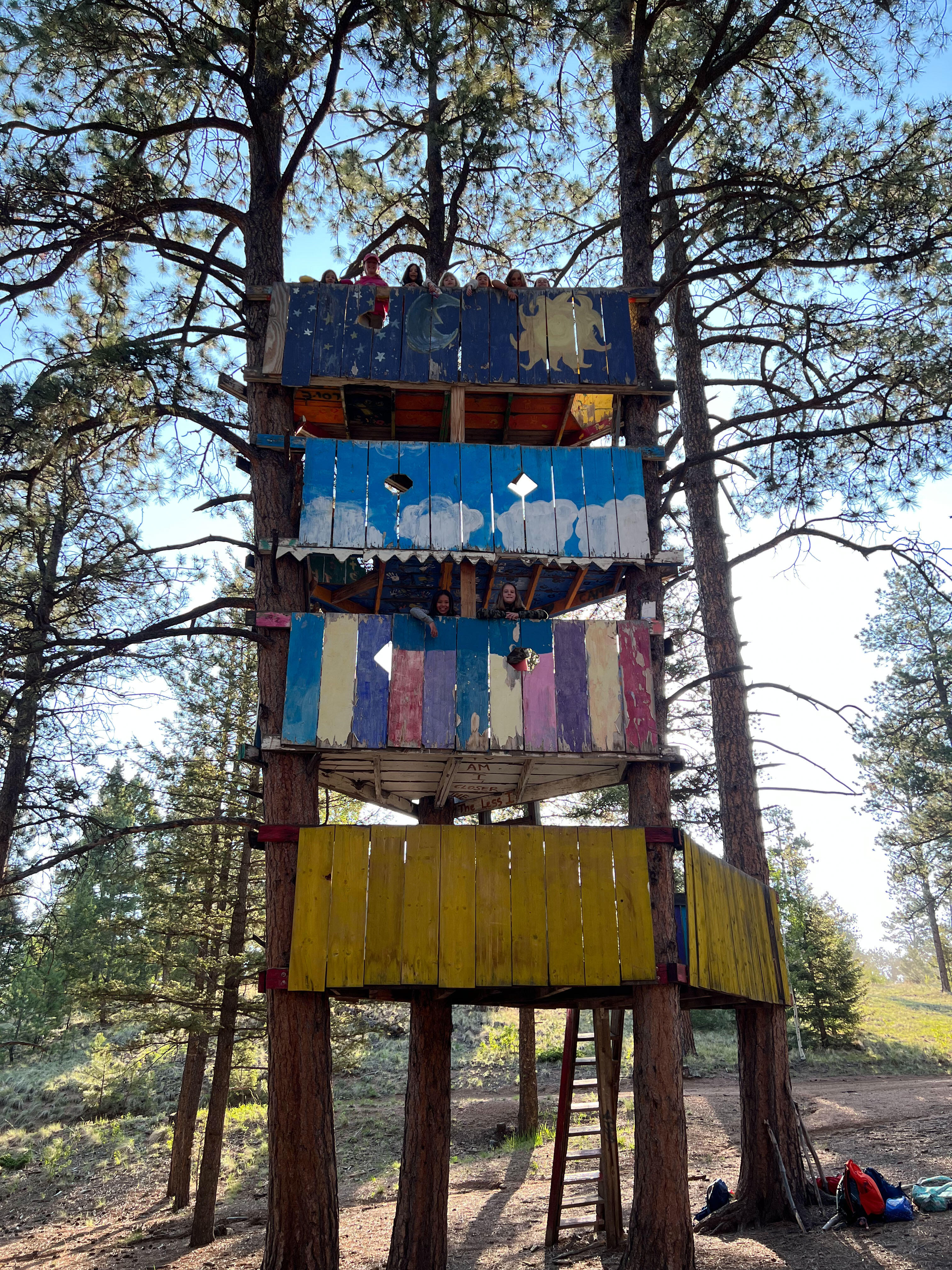 Campaign cover image for A Treehouse for the Ages