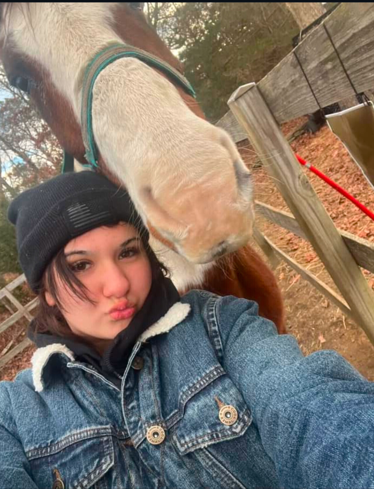 Campaign cover image for Horses for Healing