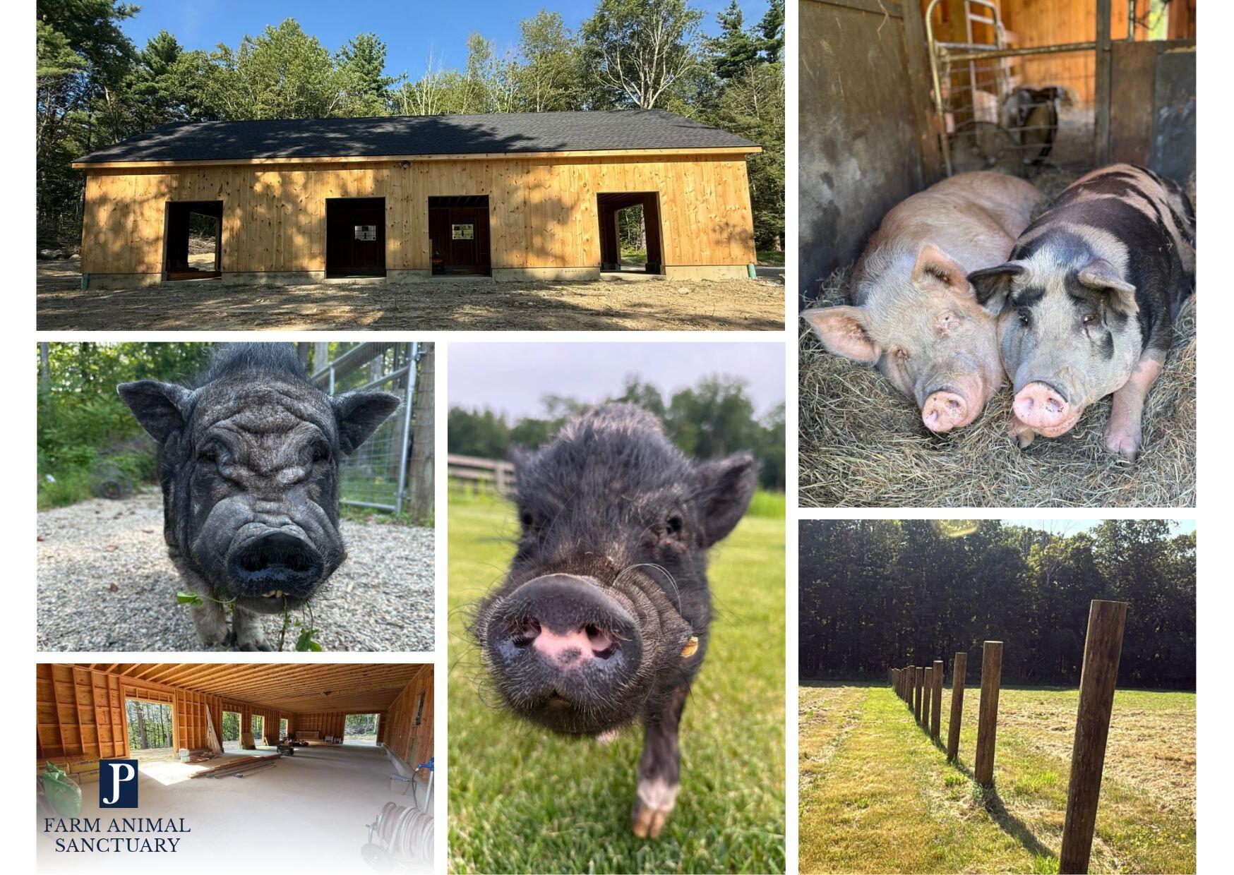 Campaign cover image for JP Barn Support