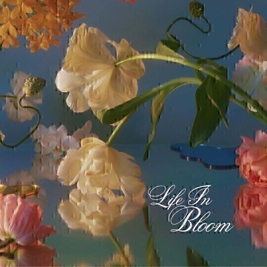 Campaign cover image for Life In Bloom Gala