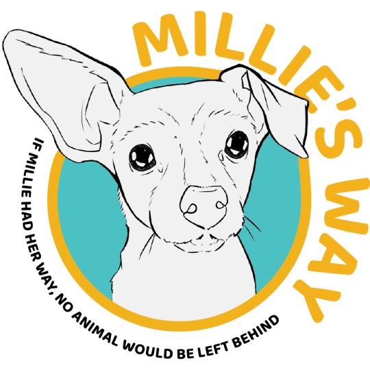 Campaign cover image for Millie's Way: No Animal Gets Left Behind