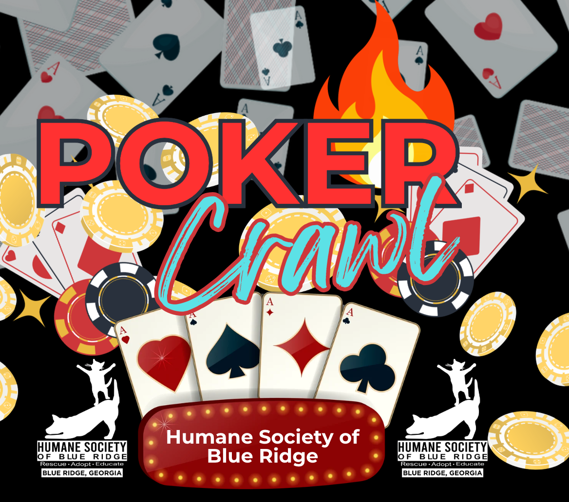 Campaign cover image for Poker Crawl