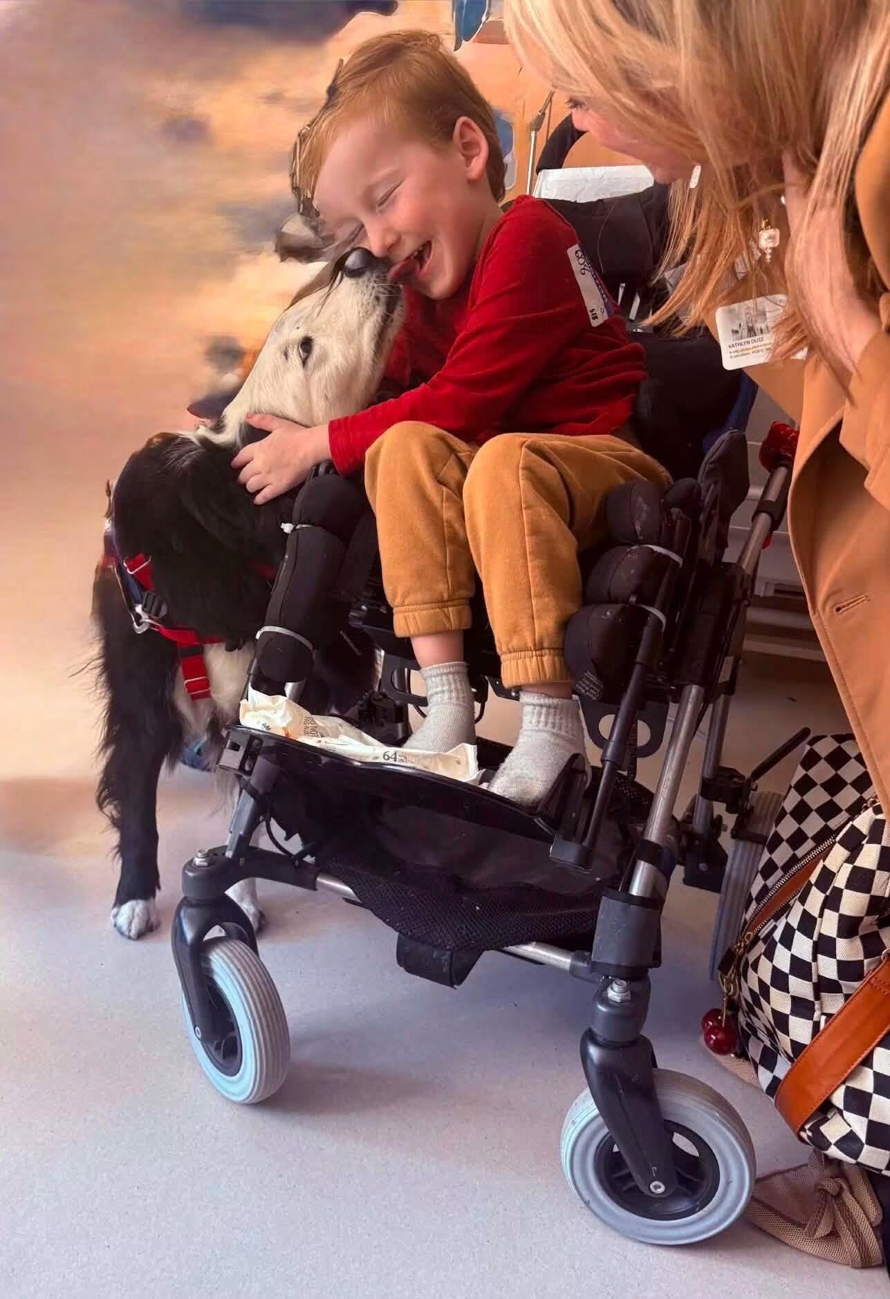 Campaign cover image for Give for Gunner's Van