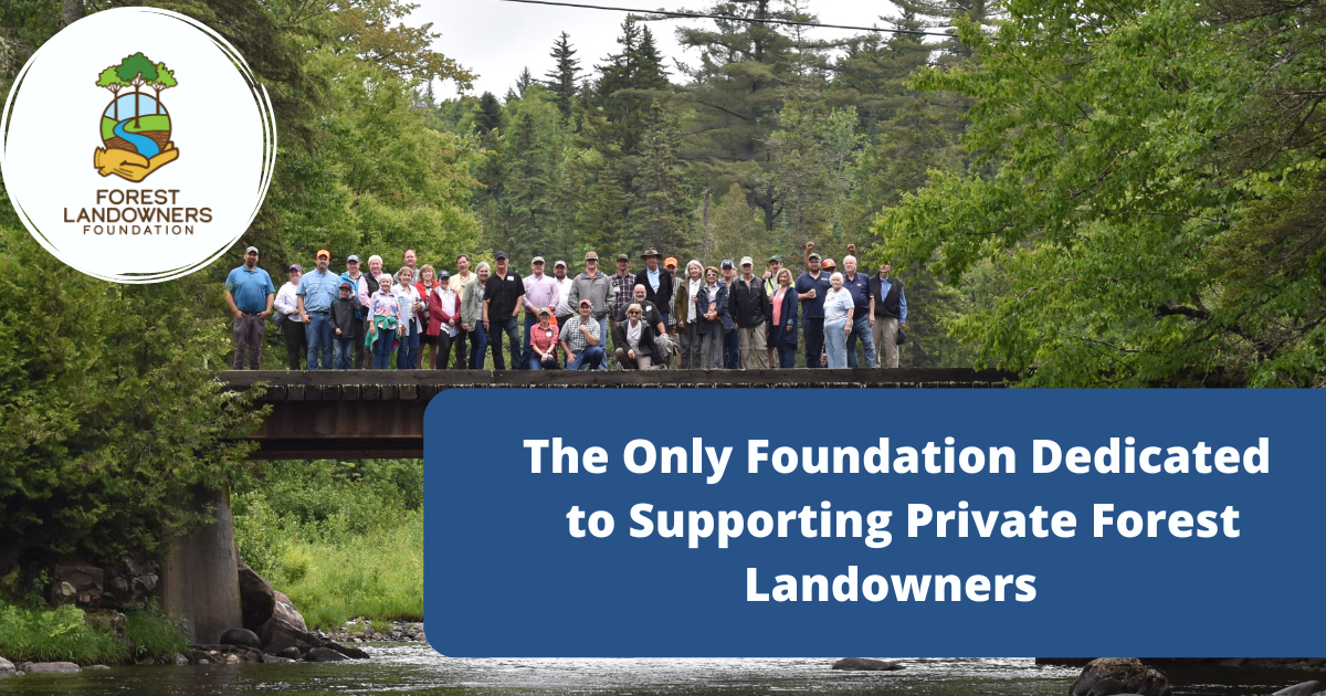 Campaign cover image for FLF Donation Page