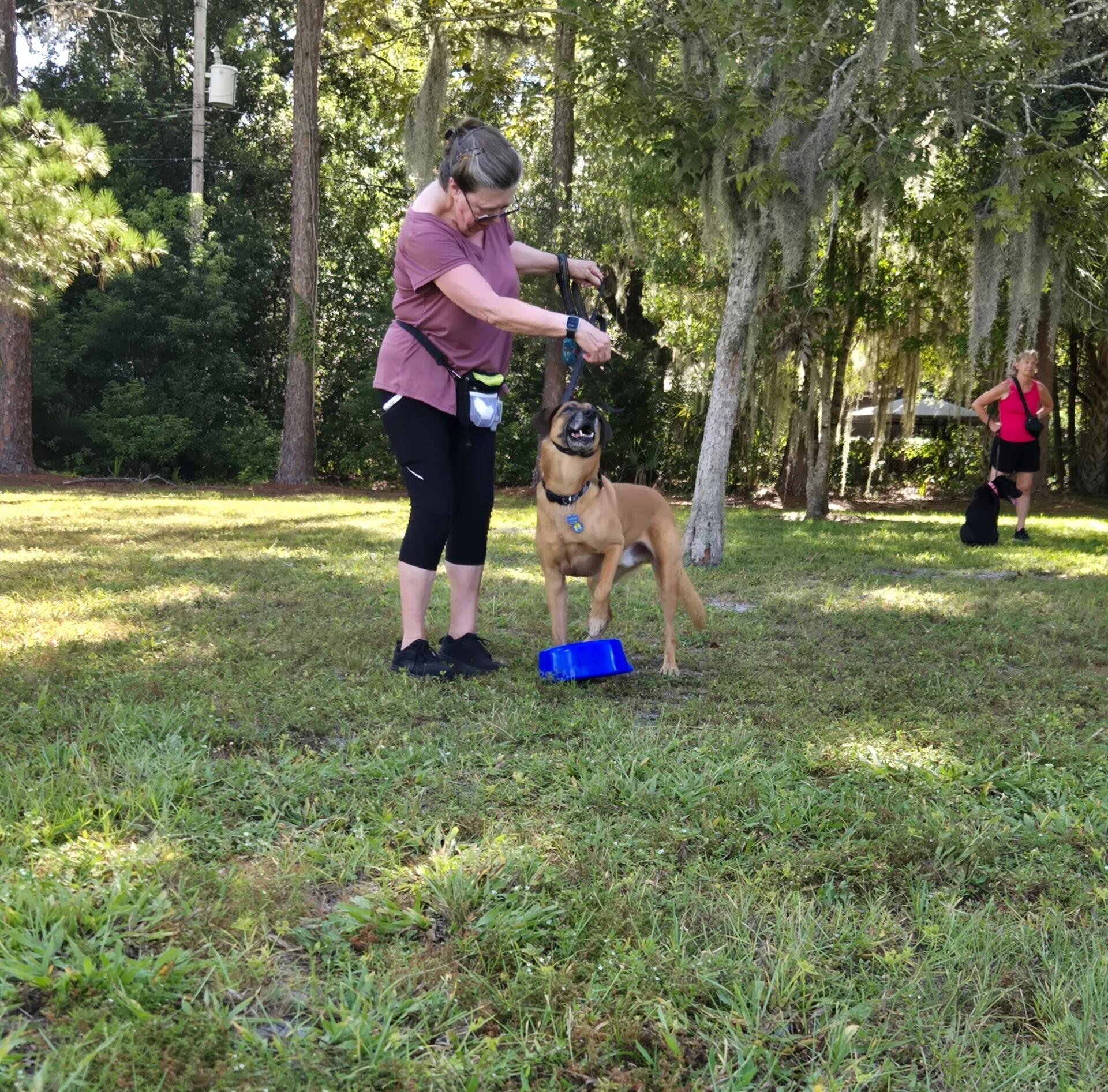 Campaign cover image for Intro to Agility